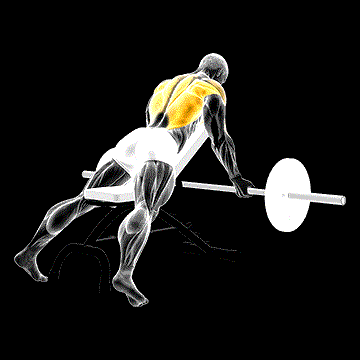 Barbell Reverse-Grip Incline Bench Row demonstration