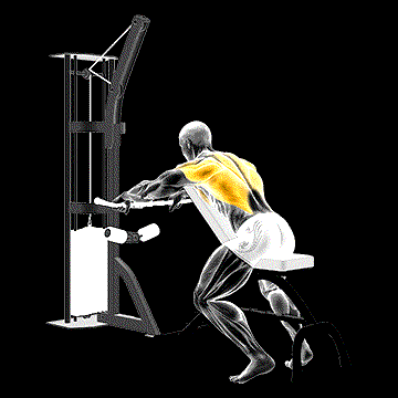 Cable Incline Bench Row demonstration