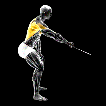 Cable Palm Rotational Row demonstration