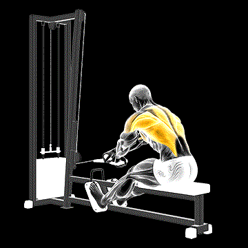 Cable Rope Crossover Seated Row demonstration
