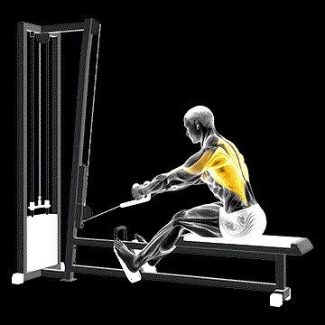 Cable Rope Elevated Seated Row demonstration