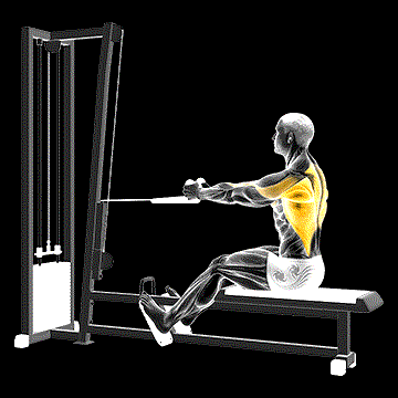 Cable Rope Seated Row demonstration