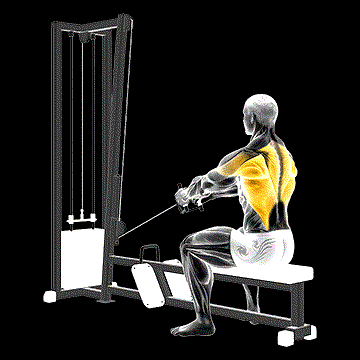 Cable Upper Row demonstration