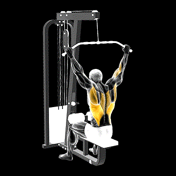 Cable Wide-Grip Behind Neck Pulldown demonstration