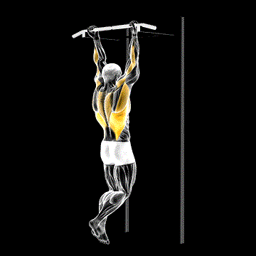 Chin-up demonstration