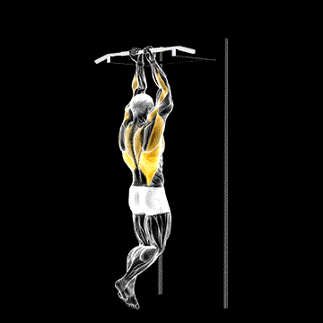 Close-Grip Chin-Up demonstration