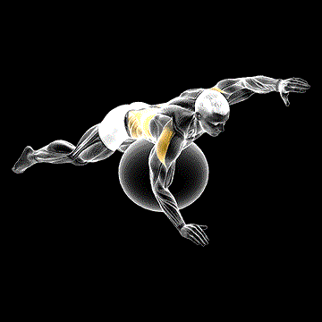 Exercise Ball Alternating Arm Ups demonstration