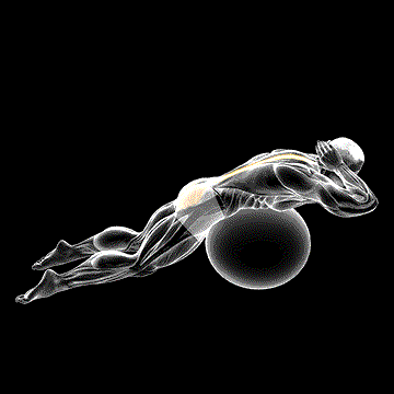 Exercise Ball Back Extension (w/ Hands Behind Head) demonstration