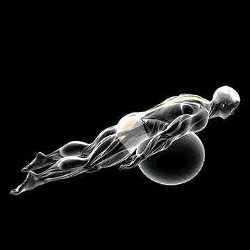 Exercise Ball Back Extension (w/ Knees Off Ground) demonstration