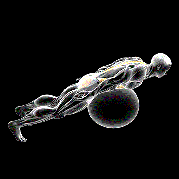 Exercise Ball Back Extension (w/ Rotation) demonstration