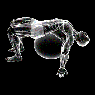 Exercise Ball Back Stretch demonstration