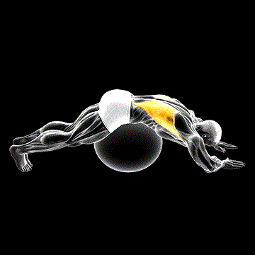 Exercise Ball Lower Back Stretch (Pyramid) demonstration