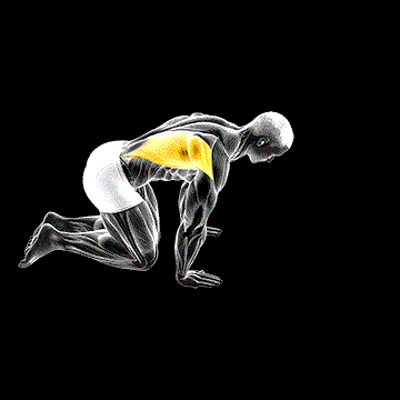 Kneeling Lat Stretch demonstration