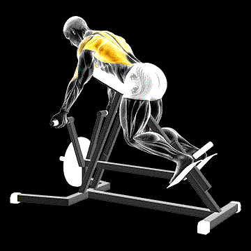 Lever Reverse T-Bar Row demonstration