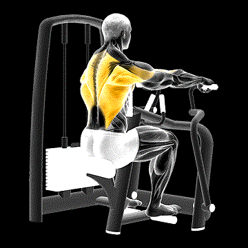Lever Seated Row demonstration