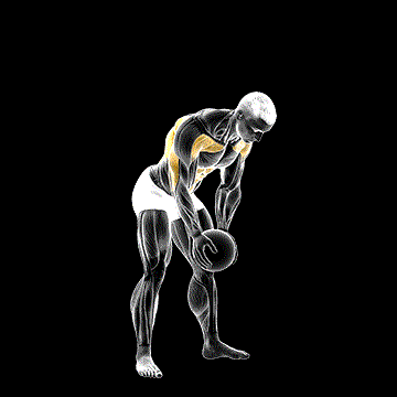 Medicine Ball Catch and Overhead Throw demonstration