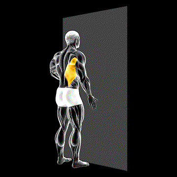 One-Arm Against Wall demonstration