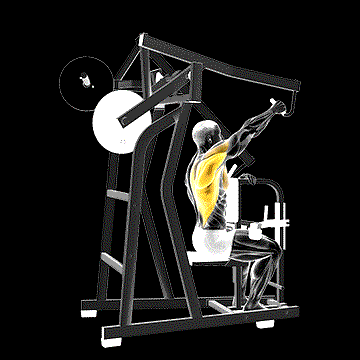 Lever One-Arm Lateral High Row demonstration