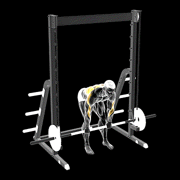 Smith Bent-over Pronated Grip Row demonstration