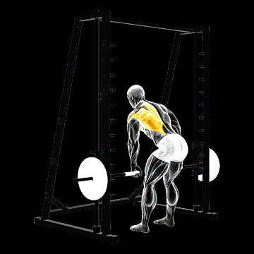 Smith One-Arm Row demonstration