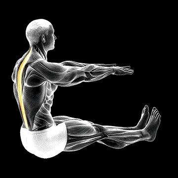 Spine Stretch demonstration