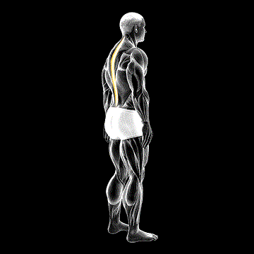 Standing Pelvic Tilt demonstration