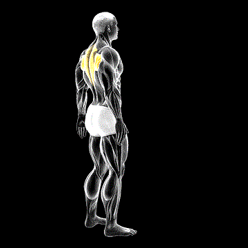 Upper Back Stretch demonstration