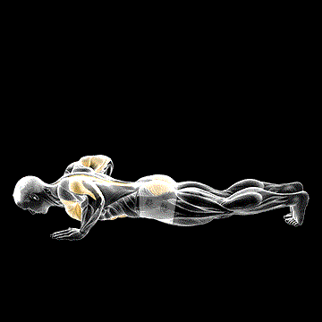 Upward Facing Dog demonstration