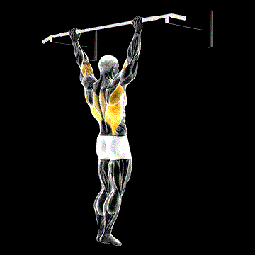 Wide-Grip Rear Pull-Up demonstration