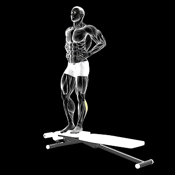 Box Jump-Down (w/ 1 Leg Stabilization) demonstration