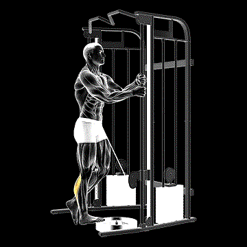Cable Standing One-Leg Calf Raise demonstration