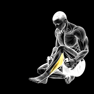 Peroneals Stretch demonstration