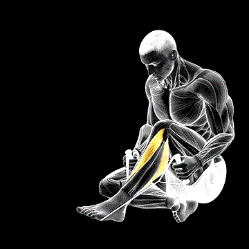 Posterior Tibialis Stretch demonstration