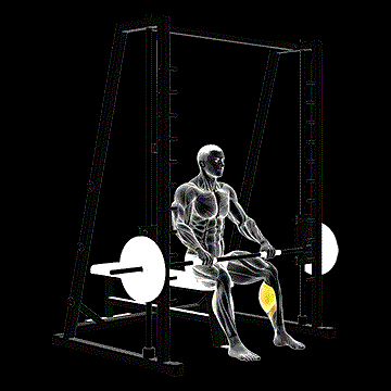 Smith Toe Raise demonstration