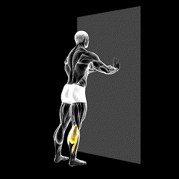 Standing Gastrocnemius demonstration