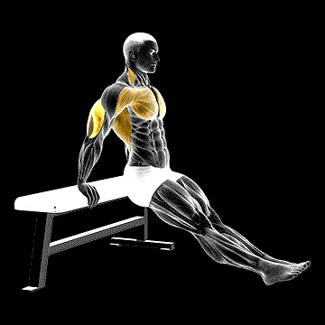 Bench Dip demonstration