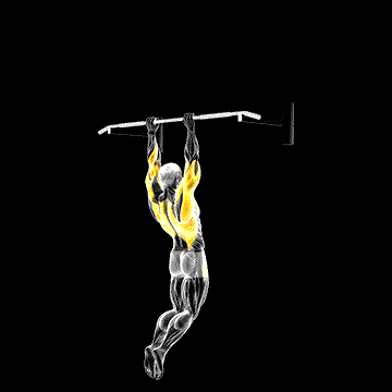 Muscle-up demonstration