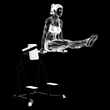 L-Sit demonstration