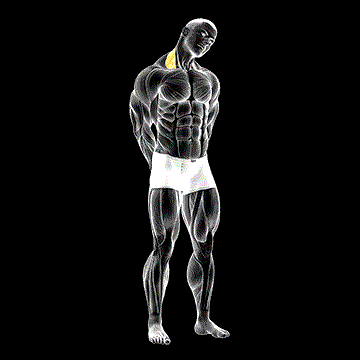 Neck Side Stretch demonstration