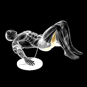 Band Hip Lift demonstration
