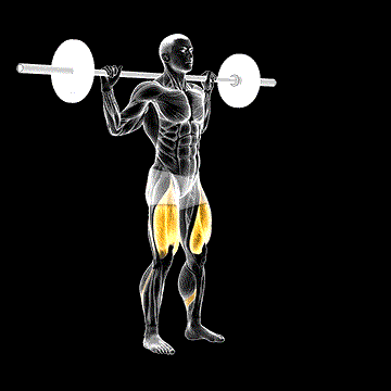 Barbell Lateral Lunge demonstration