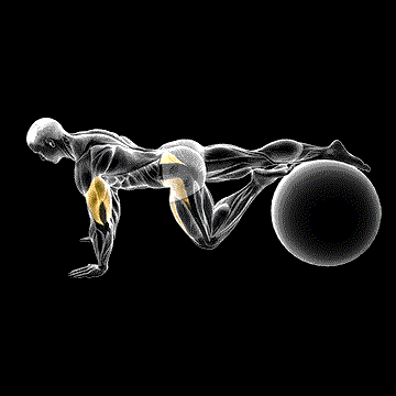 Exercise Ball One-Leg Prone Lower Body Rotation demonstration