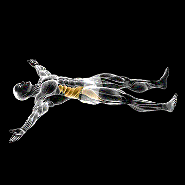 Iron Cross Stretch demonstration