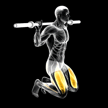 Kneeling Jump Squat demonstration
