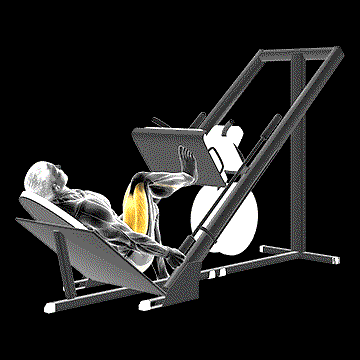 Sled 45-Degrees One-Leg Press demonstration