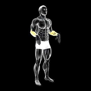 Wrist Circle demonstration