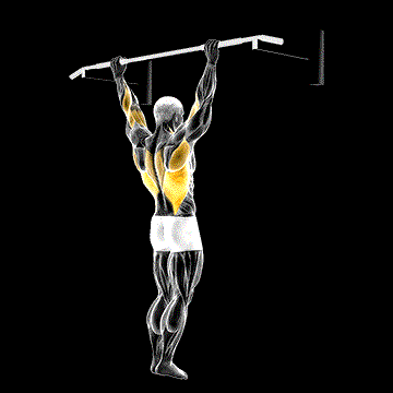 Wide-Grip Pull-Up demonstration
