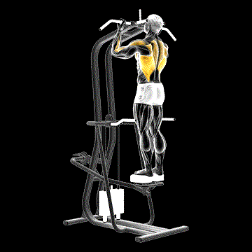 Lever-Assisted Standing Chin-Up demonstration