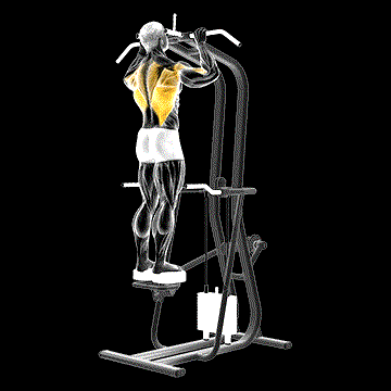 Assisted Standing Pull-up demonstration