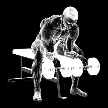 Dumbbell Finger Curl demonstration